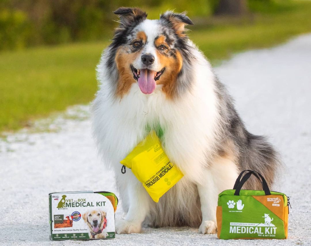 ADVENTURE DOG Medical Kit - Vet in a Box