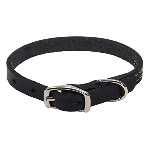 Coastal - Circle T - Oak Tanned Leather Town Dog Collar, Black, 5/8" x 16"