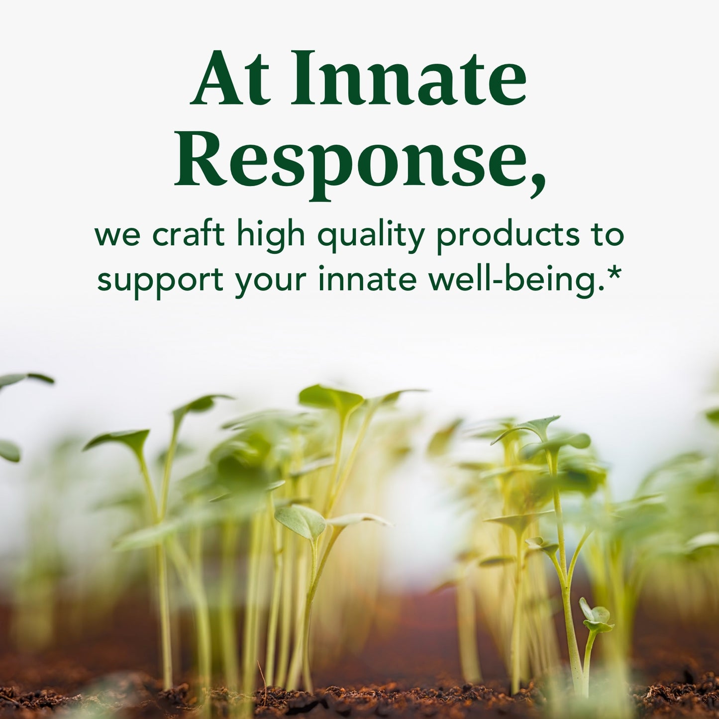 INNATE Response Formulas, Elderberry + Immune Response, 30 Tablets (15 Servings)