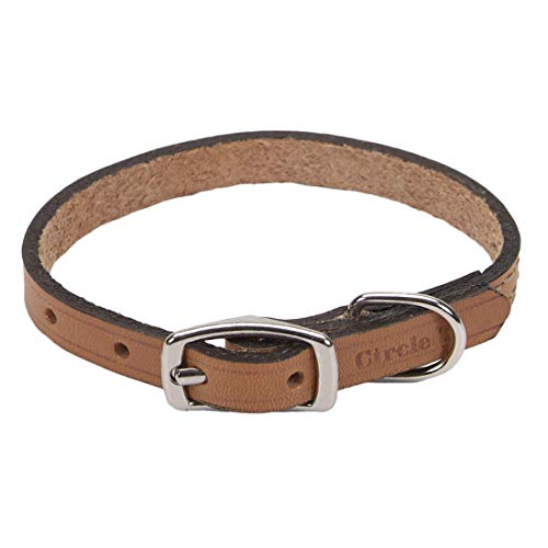 Coastal - Circle T - Oak Tanned Leather Town Dog Collar, Tan, 5/8" x 14"