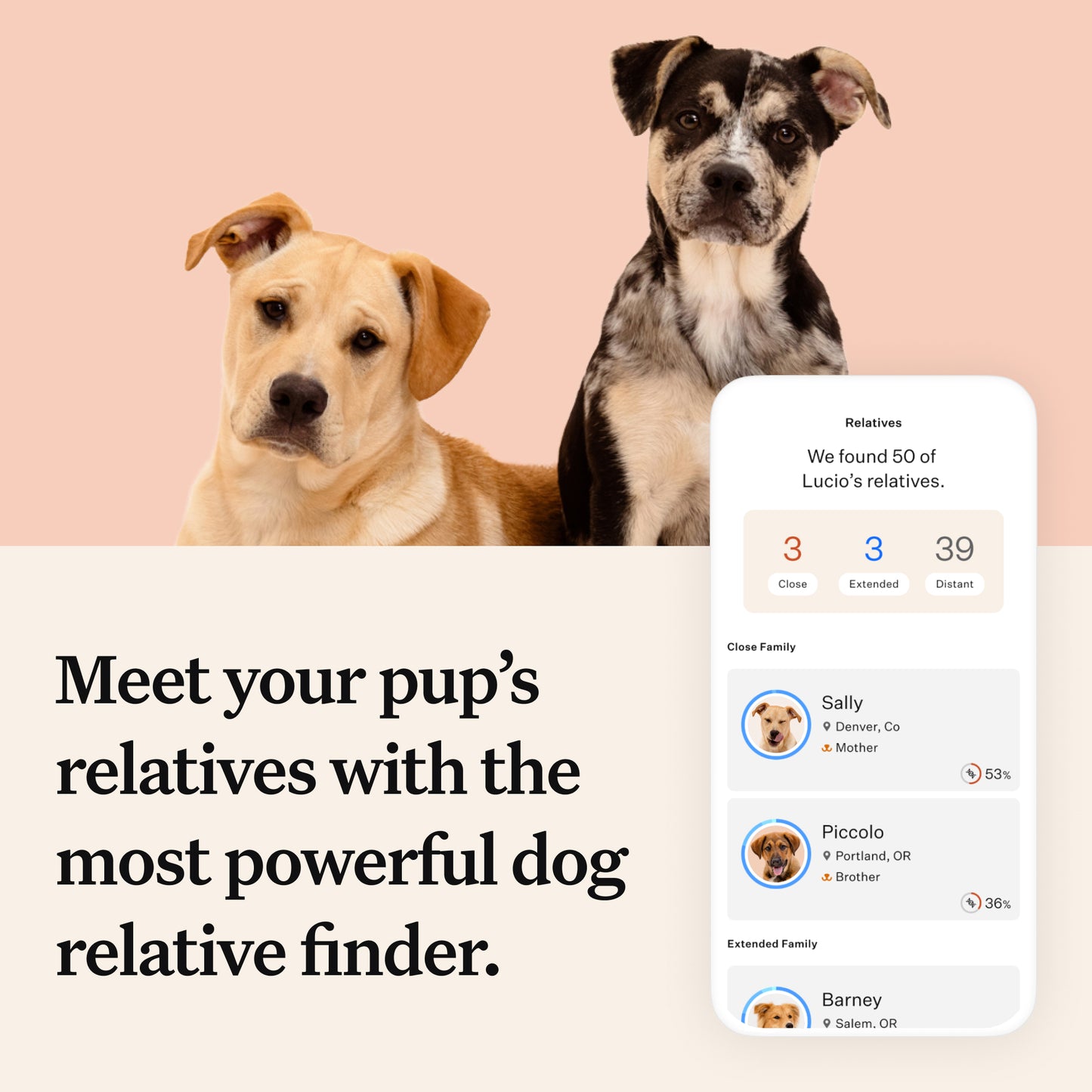 Wisdom Panel Premium, New and Improved Dog DNA Test for Comprehensive Health, Traits and Ancestry