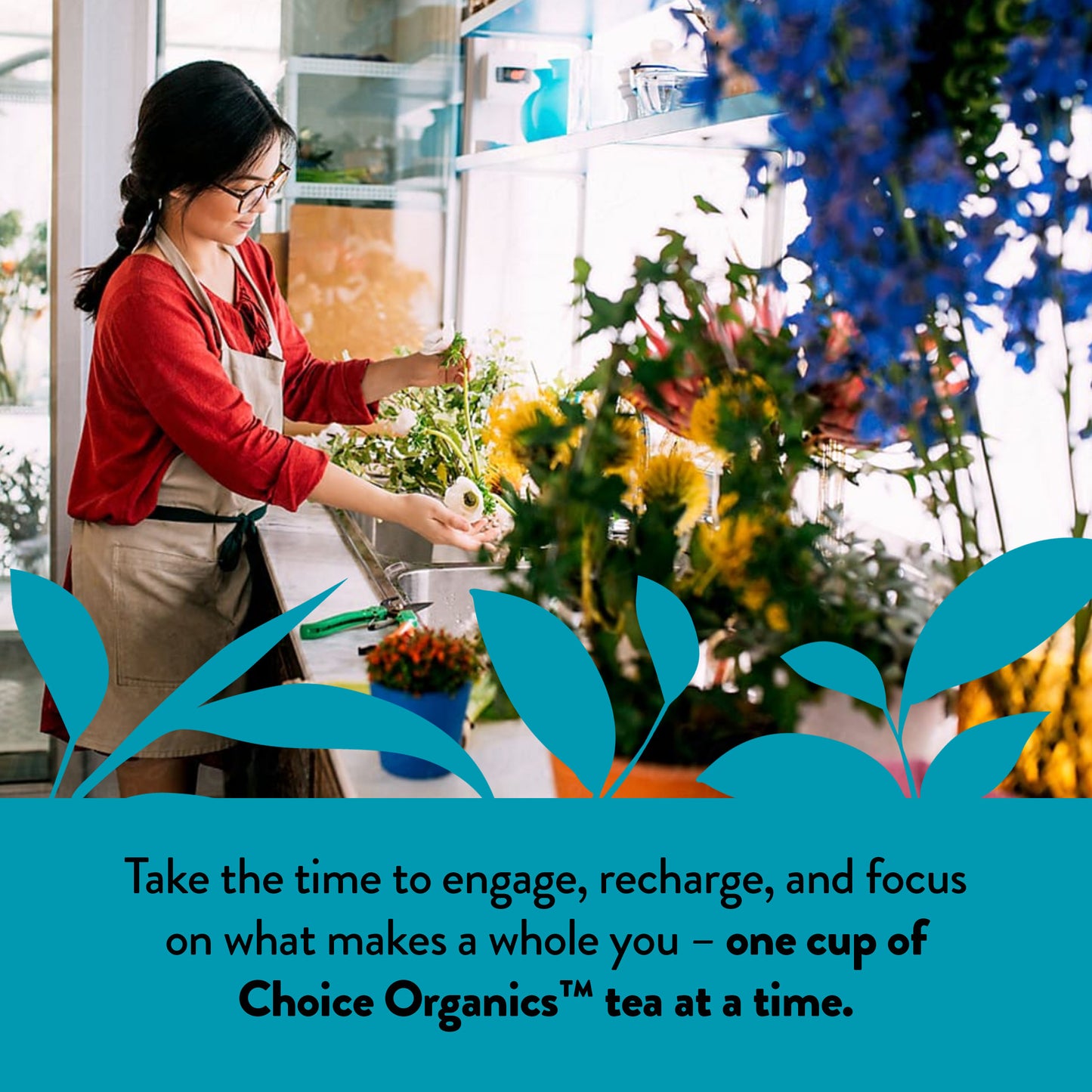 Choice Organics - Organic White Elderflower Tea (6 Pack) - Organic White & Green Tea - 96 Tea Bags