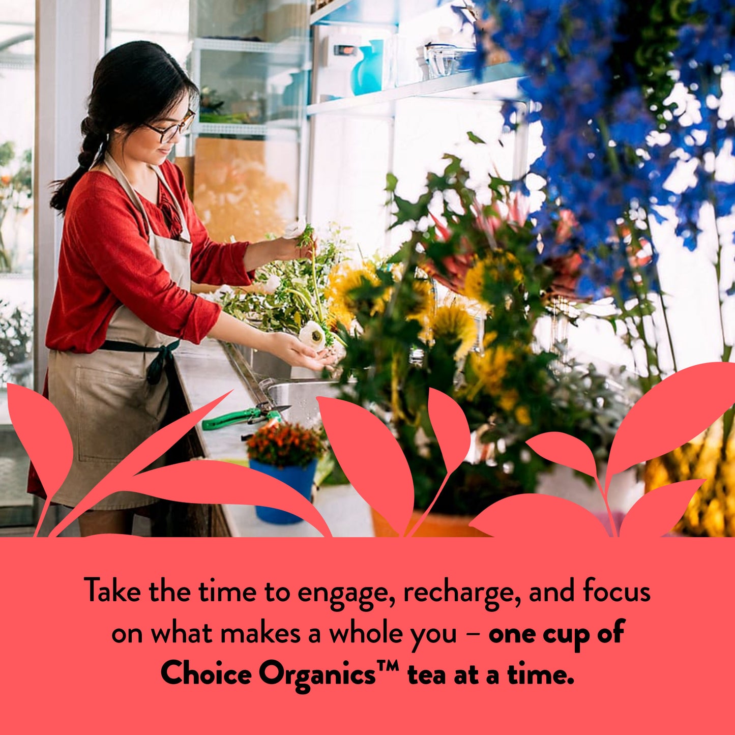 Choice Organics - Favorites Variety Pack Sampler (6 Pack) - Includes Earl Grey, Jasmine Green, Oolong, Rooibos, Cocoa Mint Puerh, and Grapefruit Honeybush Organic Teas - 96 Tea Bags