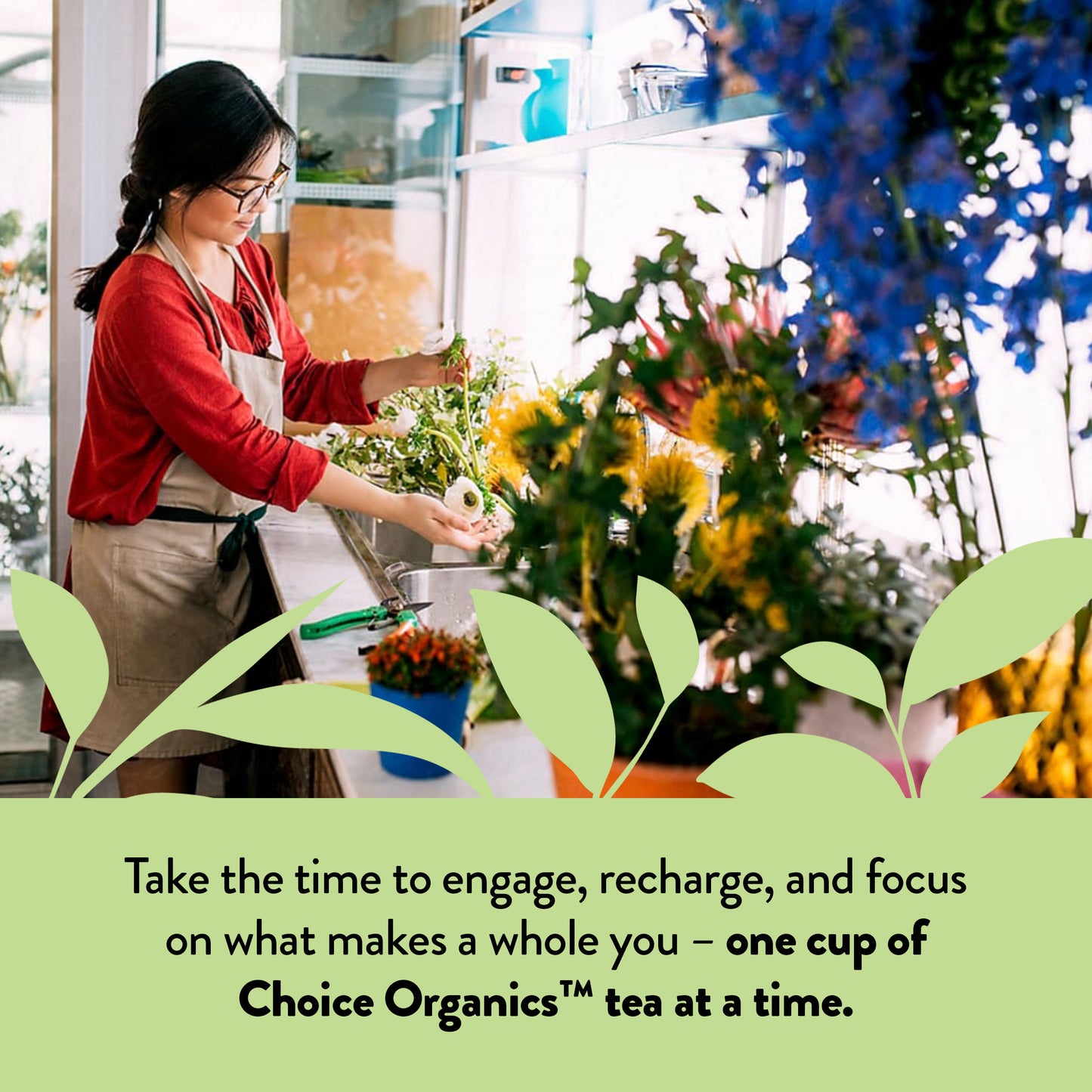 Choice Organics - Organic Mint Sage Tea (6 Pack) - Organic Herbal Tea - 96 Tea Bags
