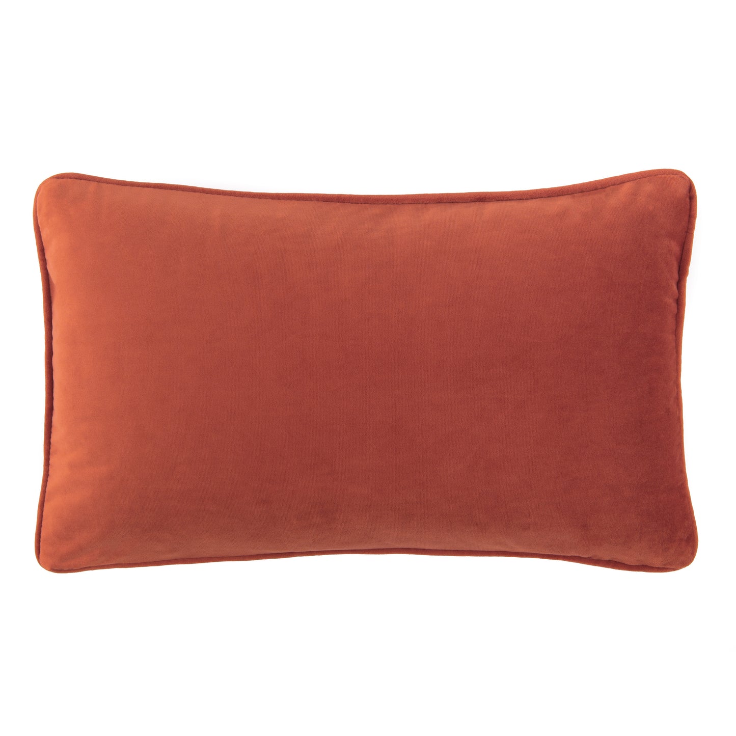 Chanasya Ultra Soft Velvet Lumbar Throw Pillow Cover - Bright and Colorful Super Soft Modern Decorative Home Decor for Sofa, Chair, and Bed (12x20 Inches) Rust
