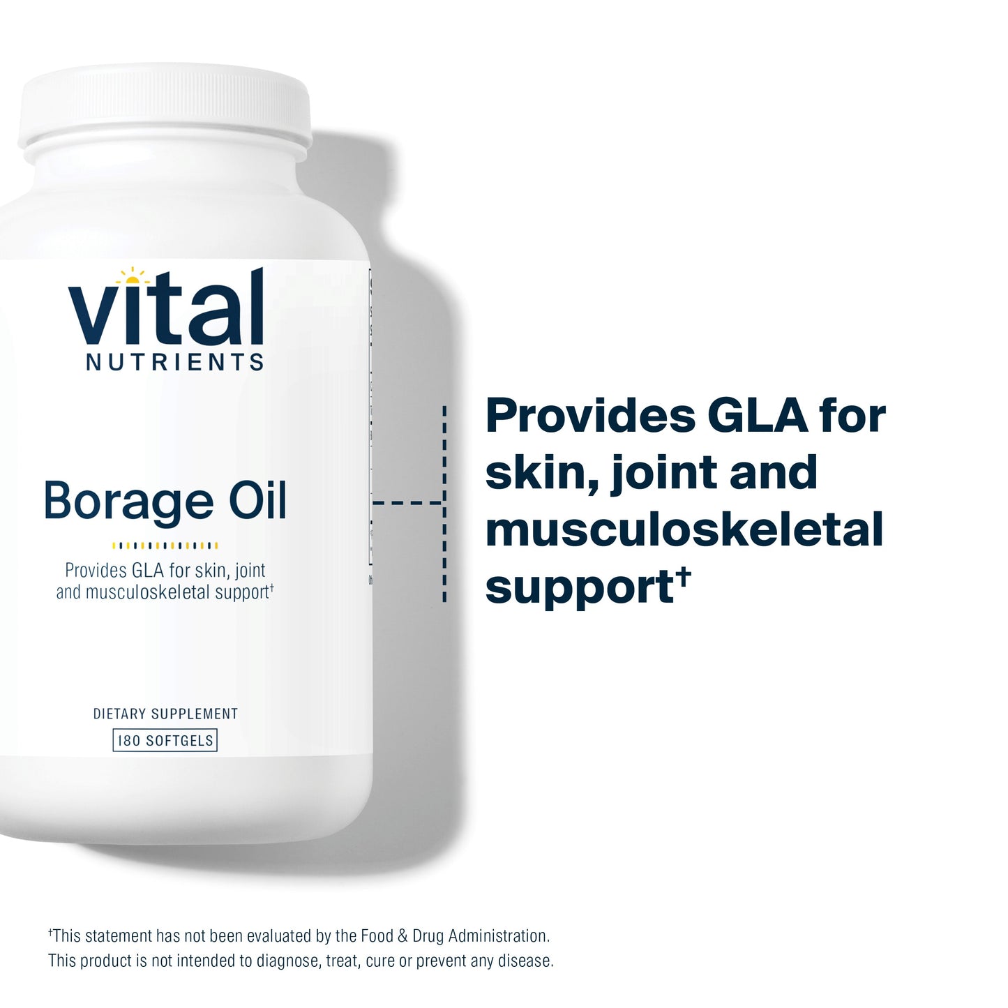 Vital Nutrients - Borage Oil - High Dose of GLA, Essential Omega 6 Fatty Acid - Cartilage, Joint, and Nerve Support - 180 Softgels