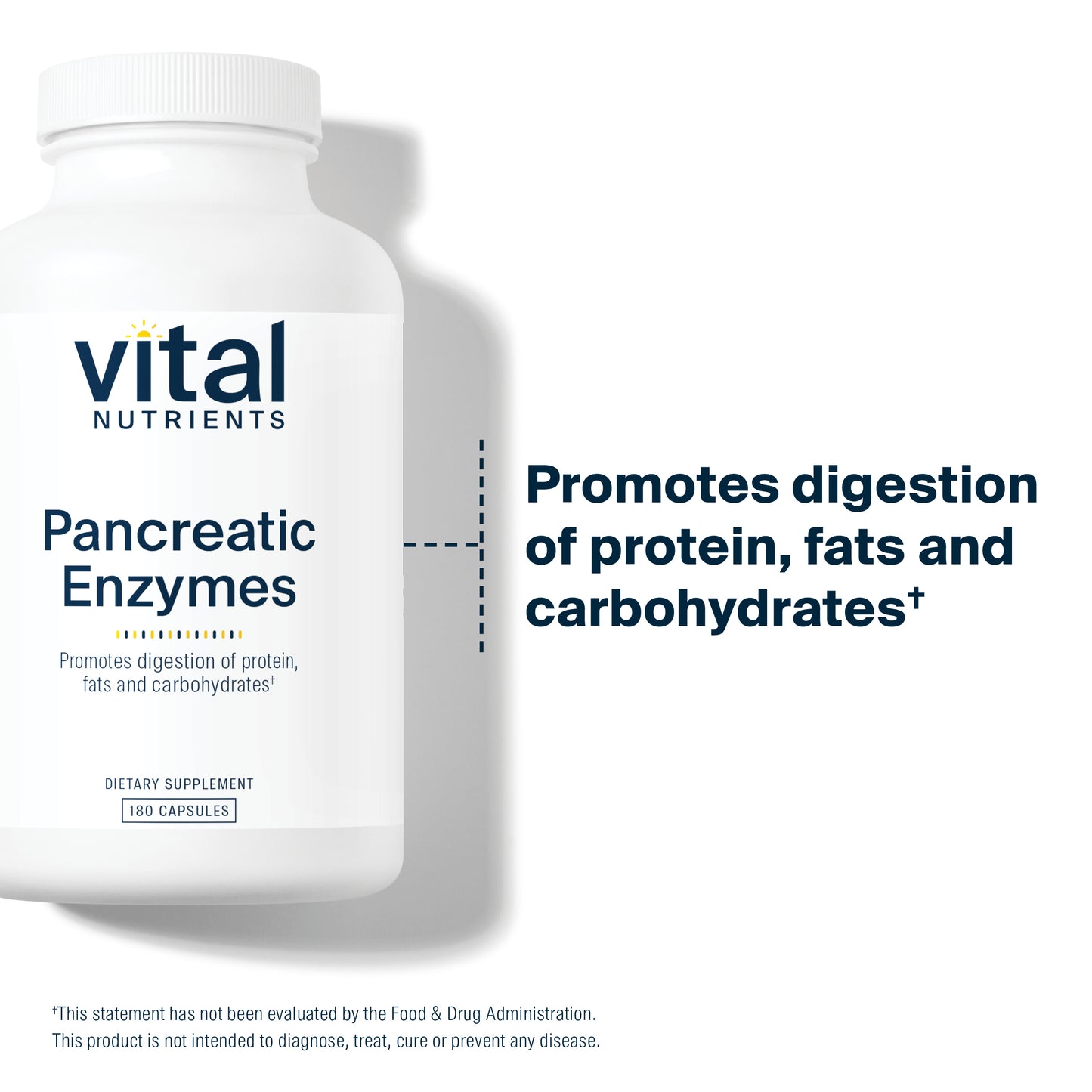 Vital Nutrients Pancreatic Enzymes 1000mg (Full Strength) | Pancreatin Digestion Supplement with Protease, Amylase & Lipase | Digestive Enzymes | Gluten, Dairy, and Soy Free | 180 Capsules