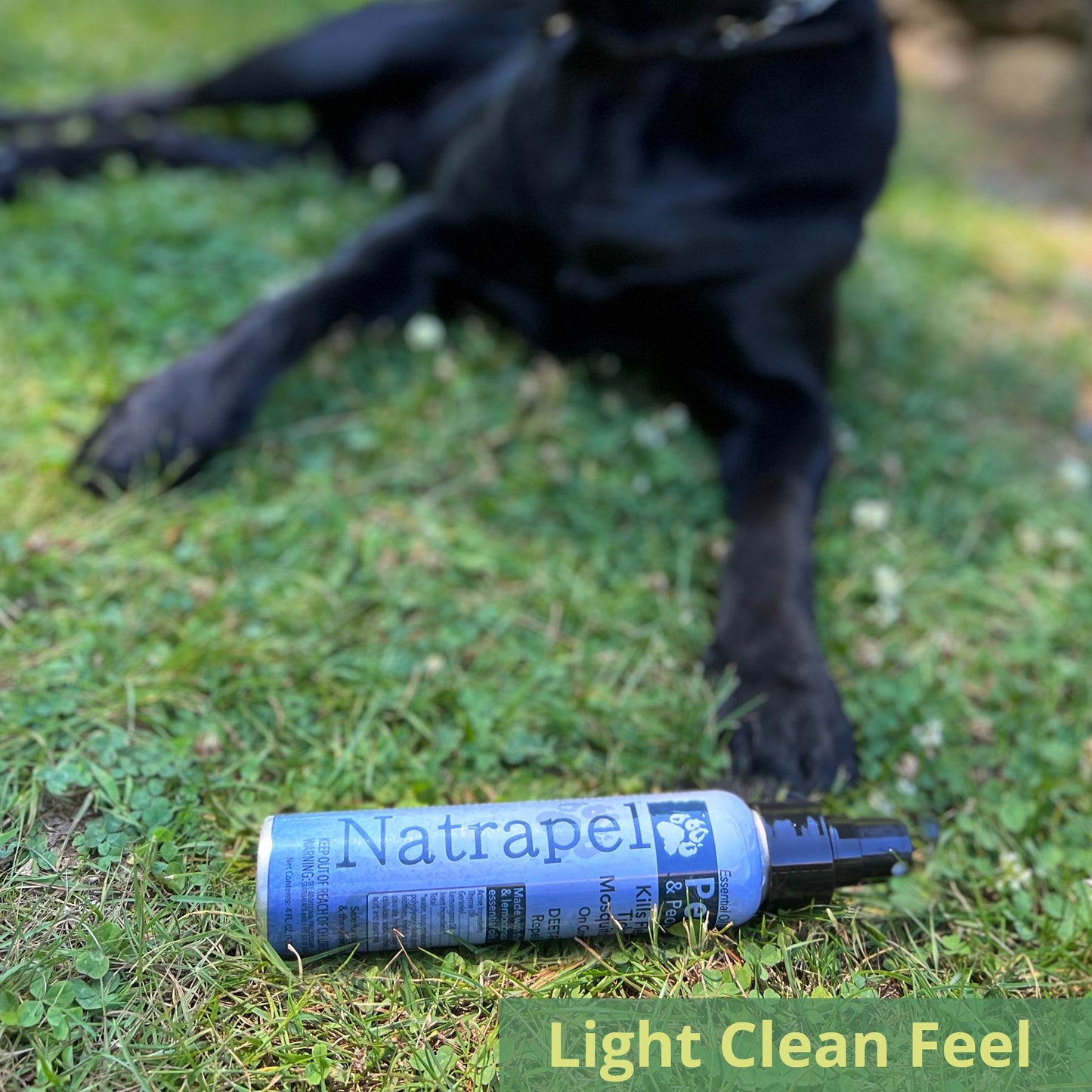 Natrapel Essential Oil Insect Repellent for Pets and People Uncarded
