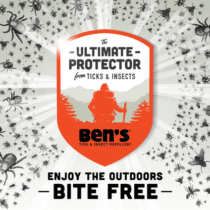 Ben's 30 Insect Repellent Wipes, 12 ct (Pack of 4)