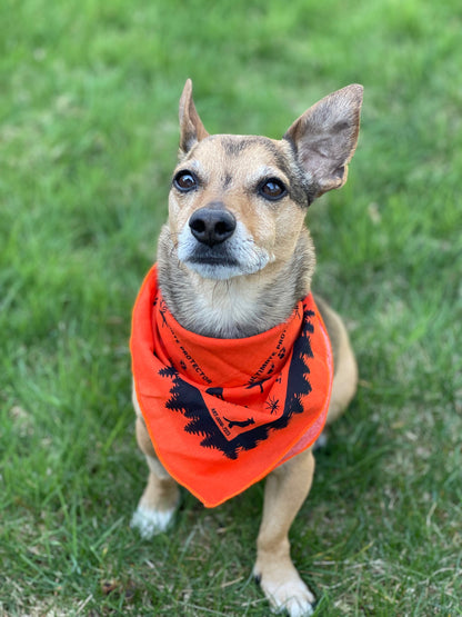 Ben's¬Æ Bandana with Insect Shield Dog