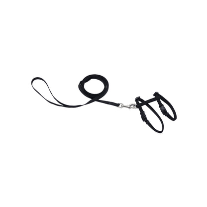 Coastal - Harness with 6' Leash, Black, 3/8‚Äù x 11‚Äù- 18‚Äù