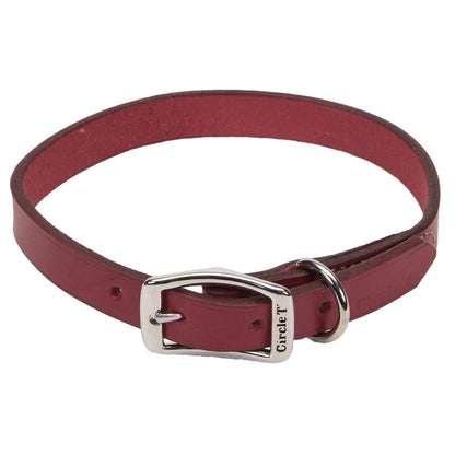 Coastal - Circle T - Oak Tanned Leather Town Dog Collar, Red, 1" x 18"