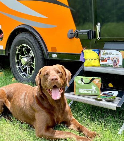 ADVENTURE DOG Medical Kit - Vet in a Box