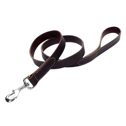 Coastal - Circle T - Latigo Leather Dog Leash, Latigo, 1" x 04'