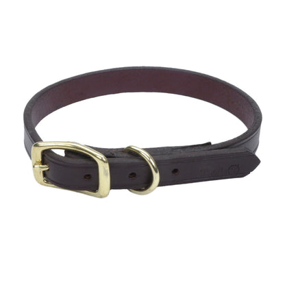 Coastal - Circle T Latigo Leather Town Dog Collar with Brass Hardware - Brown and Gold - 5/8" x 14"
