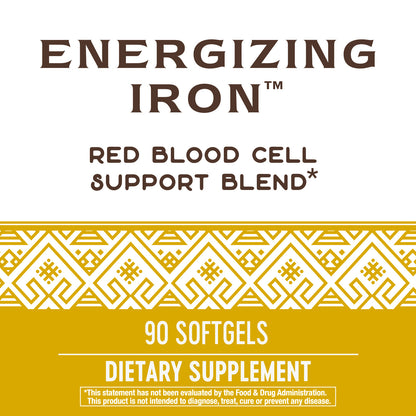 Nature's Way Energizing Iron Dual Iron Formula, 90 Count (Packaging May Vary)