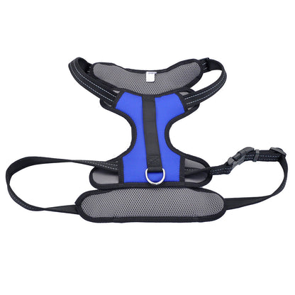 Coastal - Reflective Control Handle Harness, Blue, Girth: 30"-43" x Neck: 21"-33"