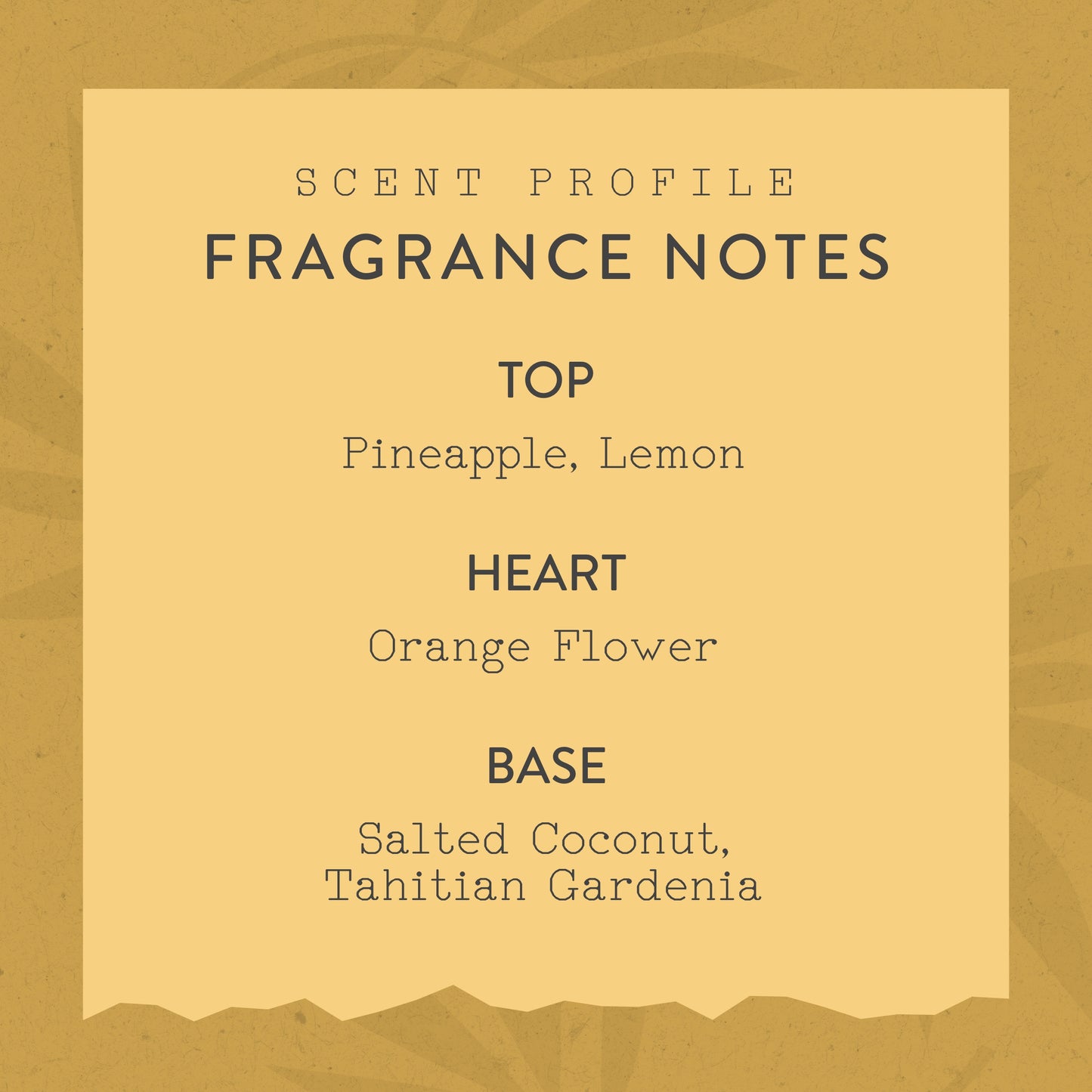 Esscentials Lazy Summer Fragrance Mist, Notes of Salted Coconut and Orange Blossom, 2.0 Oz