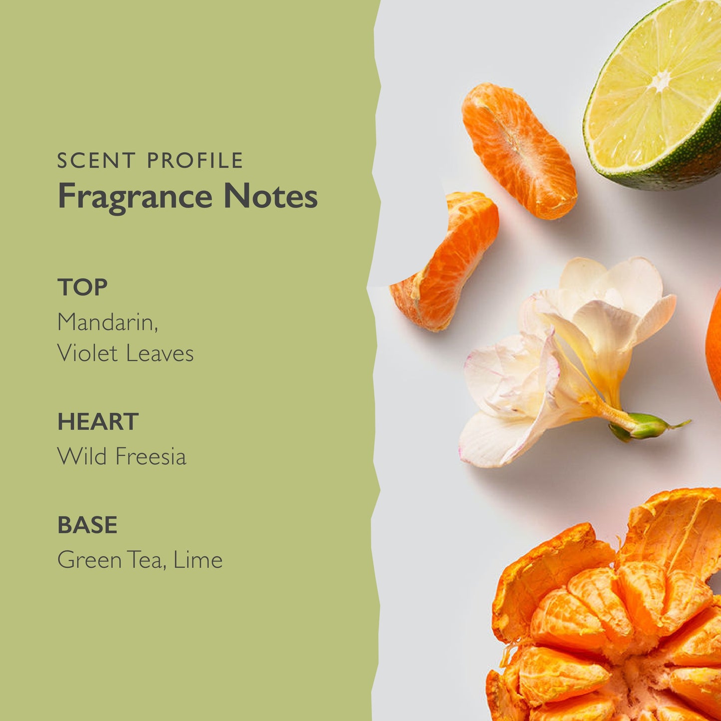 Scent-Organix So Serene Perfume for Men & Women by Scent Beauty - Citrusy and Fruity Scent with Notes of Mandarin, Wild Freesia & Green Tea - Non-Toxic, Vegan & Biodegradable Perfume - 1.7fl Oz