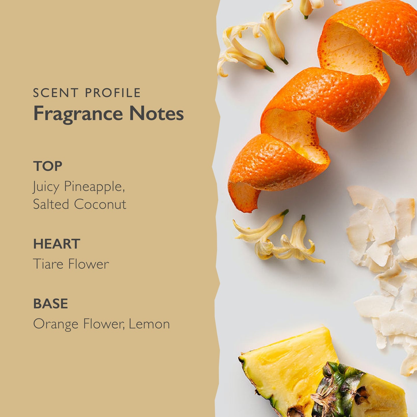 Scent-Organix I Am Bright Perfume for Men & Women by Scent Beauty - Fruity and Citrusy Scent with Notes of Pineapple, Tiare Flower & Orange Flower - Non-Toxic, Vegan & Biodegradable Perfume - 1.7fl Oz