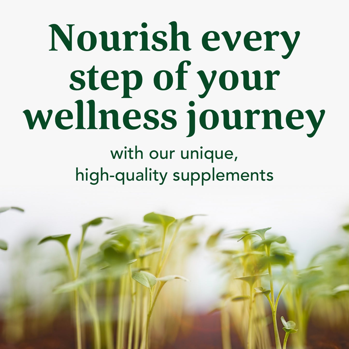 MegaFood Balanced B Complex - Supports Celllular Energy with Vitamins B1, B2, B3, B5, B6, B7, B9, B12 - Gluten Free and Made Without Dairy - Vegan - 60 Tabs