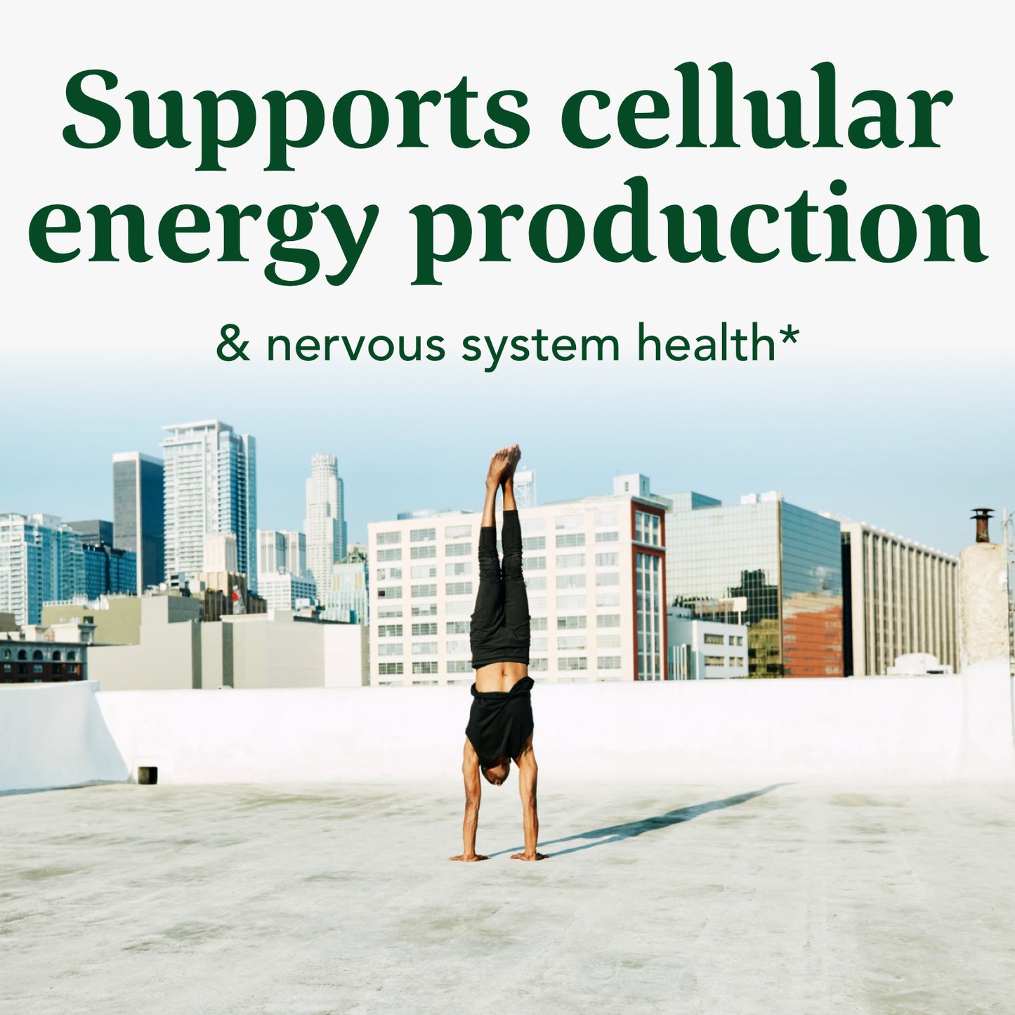 MegaFood Balanced B Complex - Supports Celllular Energy with Vitamins B1, B2, B3, B5, B6, B7, B9, B12 - Gluten Free and Made Without Dairy - Vegan - 60 Tabs