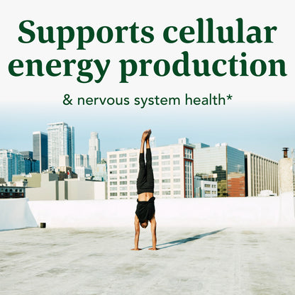 MegaFood Balanced B Complex - Supports Celllular Energy with Vitamins B1, B2, B3, B5, B6, B7, B9, B12 - Gluten Free and Made Without Dairy - Vegan - 60 Tabs