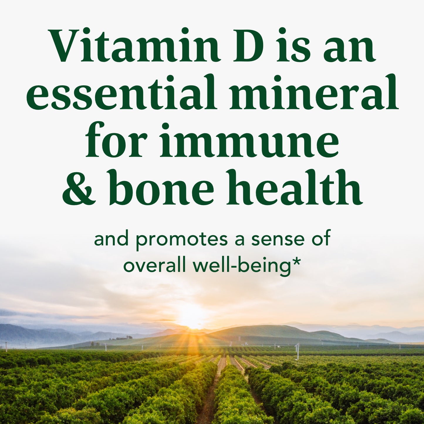 MegaFood, Vitamin D3 2000 IU, Immune and Bone Health Support, Vitamin and Dietary Supplement, Gluten Free, Vegetarian, 60 Tablets