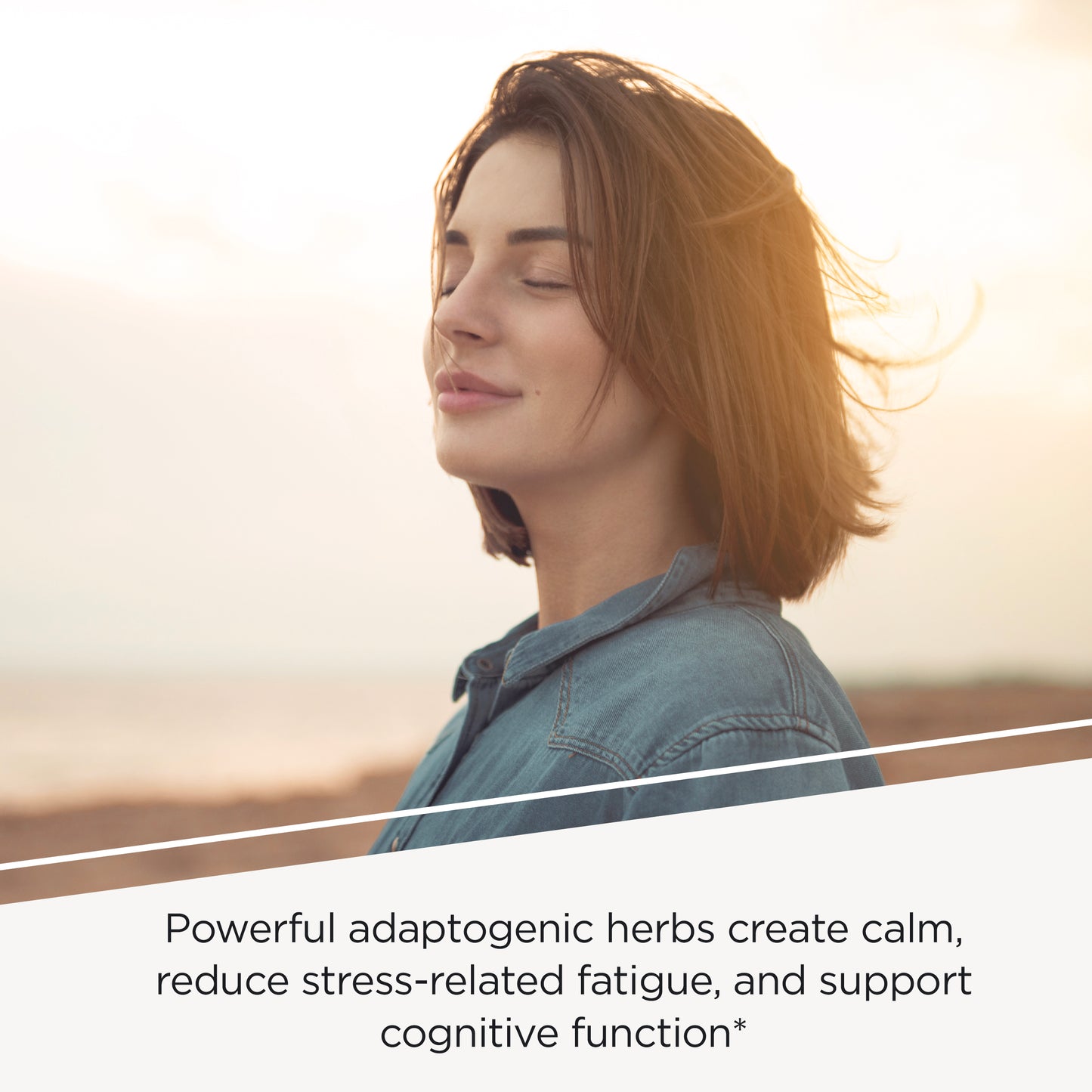 Integrative Therapeutics HPA Adapt - Supports Healthy Stress Response* - with Ashwagandha, Maca, Holy Basil & Rhodiola - Gluten Free - Soy Free - 120 Vegan Capsules - 2 Pack