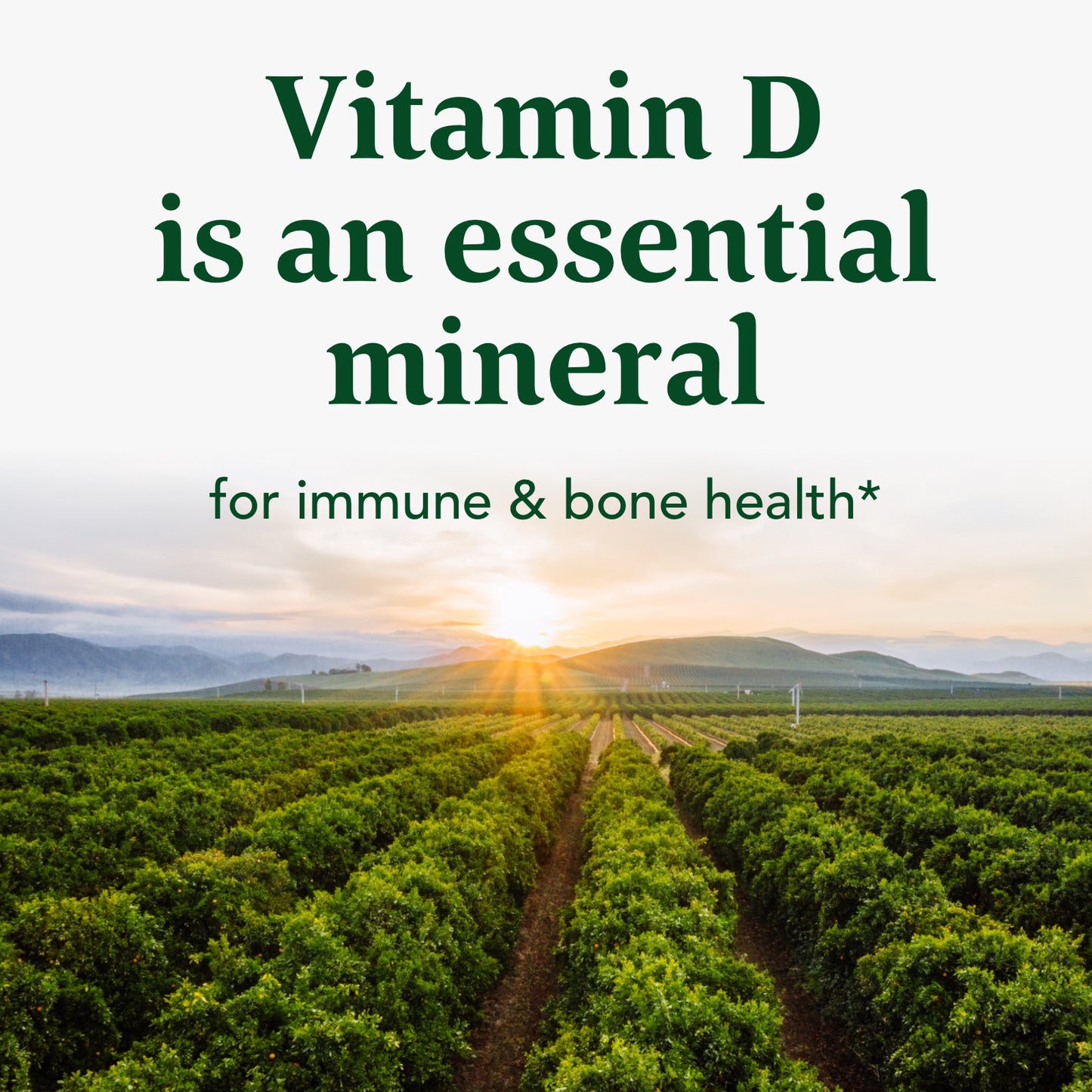 MegaFood Vitamin D3 5000 IU (125 mcg) - Bone Health and Immune Support with Vitamins D3, K, and K2 - Vegetarian, Gluten-Free - Made Without Dairy or Soy - 120 Caps