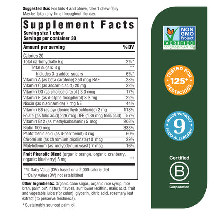 MegaFood Kids One Daily Multivitamin Soft Chews - Chewable Multivitamin for Children with Vitamins C, D & More - Non-GMO, Gluten-Free, Vegetarian & Made without Dairy and Soy - 30 Chews, 2Pack - Grape