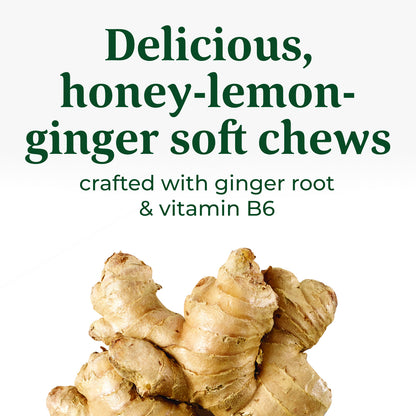 MegaFood Baby & Me 2 Morning Sickness Nausea Relief Soft Chews - Dr Formulated with Organic Ginger and Vitamin B6 - Gluten-Free, Non-GMO, Vegetarian - Honey Lemon Ginger Flavor - 30 Chews (Pack of 2)