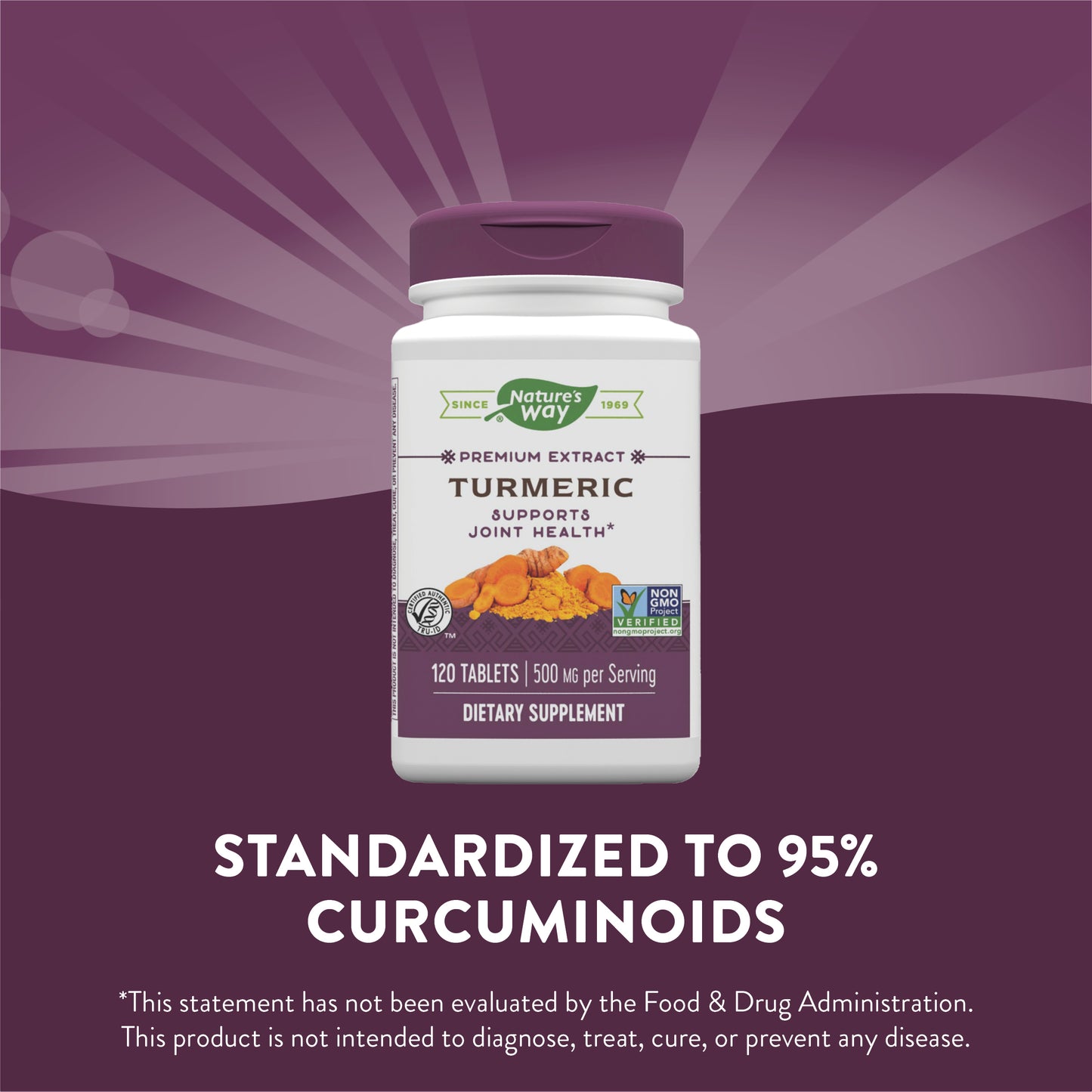 Nature's Way Premium Extract Turmeric Standardized to 95% Curcuminoids, 500 mg per serving, 120 Tablets (Packaging May Vary)
