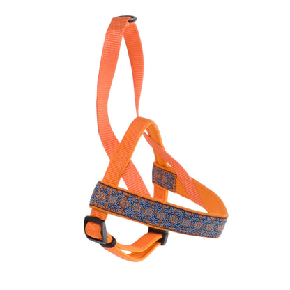Coastal - Ribbon - Weave Harness, Morrocan Tile Blue and Orange, 5/8" x 14"-16"