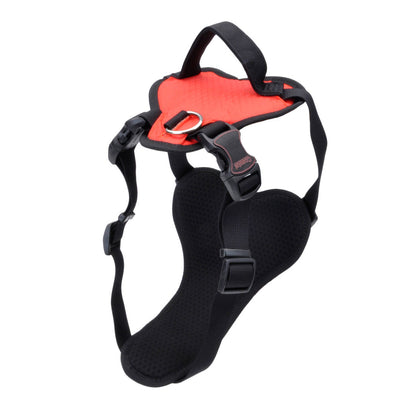 Coastal - Inspire Enhanced Core - Harness, Red, 1" x 26"-38"
