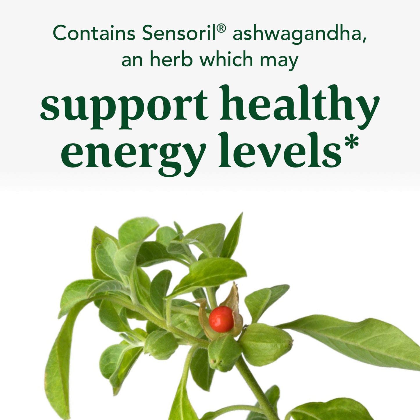 MegaFood Thyroid Strength - Mineral Supplement for Thyroid Support with Ashwagandha, Zinc, Iodine, L-Tyrosine, Selenium, and Copper - Gluten-Free, Made Without Dairy - Vegan - 60 Tabs (30 Servings)