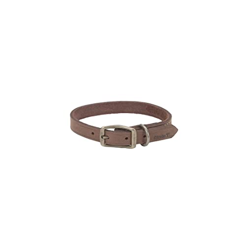 Coastal - Circle T - Rustic Leather Town Dog Collar, Chocolate, 1" x 18"