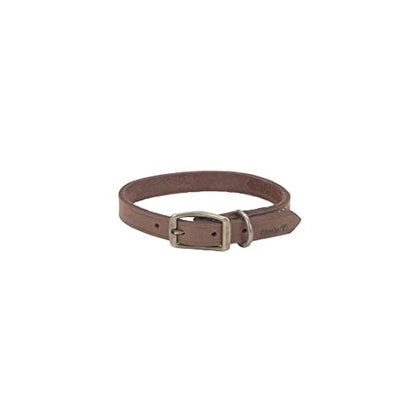 Coastal - Circle T - Rustic Leather Town Dog Collar, Chocolate, 1" x 18"