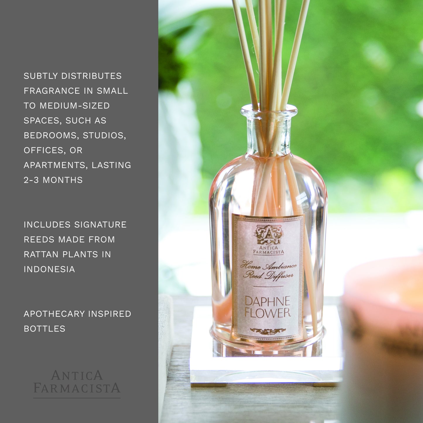 Antica Farmacista Home Ambiance Diffuser, 8.45 Fl Oz, Daphne Flower