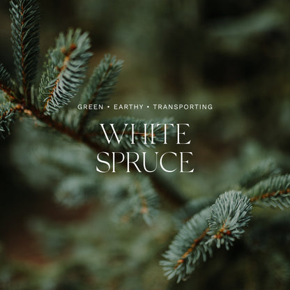 Antica Farmacista Reed Diffuser White Spruce, 8.45 Fl Oz
