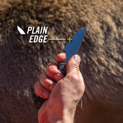 Gerber Gear Downwind Caper Knife with Sheath, Black, (31-003932)