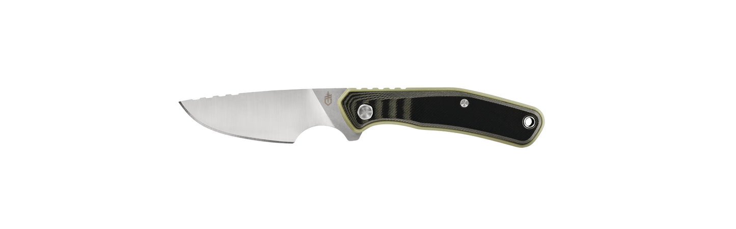 Gerber Gear Downwind Caper Knife with Sheath, Olive