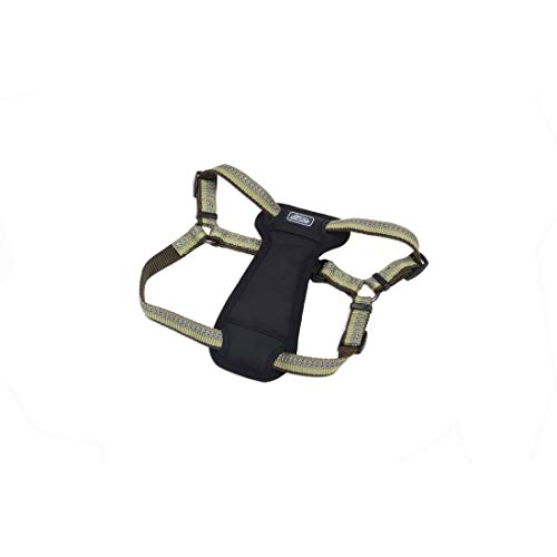 Coastal Pet K9 Explorer Reflective Adjustable Padded Dog Harness - Plush Chest Pad for Comfort - No-Pull Dog Harness for Small and Large Dogs - Goldenrod - 5/8" x 12"-18"
