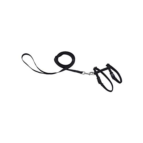 Coastal - Harness with 6' Leash, Black, 3/8‚Äù x 11‚Äù- 18‚Äù