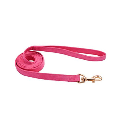Coastal - Accent Fashion - Microfiber Dog Leash, Posh Pink with Flower, 5/8" x 06'