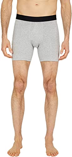 Stance Standard 6in Boxer Brief (Medium, Heather Grey)