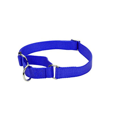 Coastal - No Slip - Martingale Adjustable Dog Collar, Blue, 1" x 17"-24"