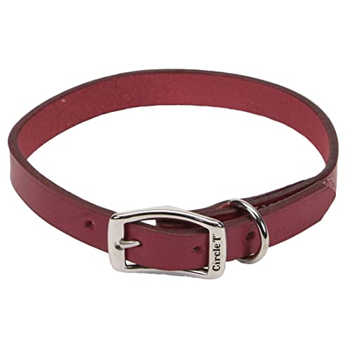 Coastal - Circle T - Oak Tanned Leather Town Dog Collar, Red, 1" x 18"