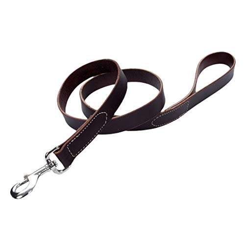 Coastal - Circle T - Latigo Leather Dog Leash, Latigo, 1" x 04'