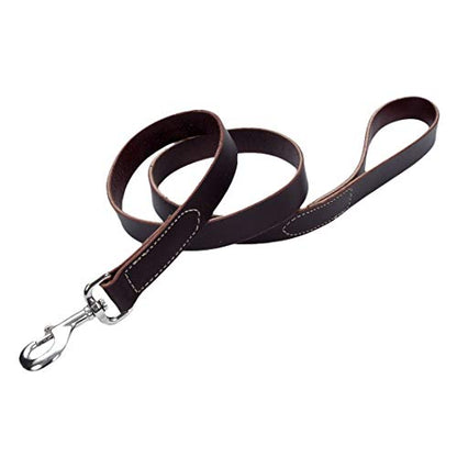 Coastal - Circle T - Latigo Leather Dog Leash, Latigo, 1" x 04'